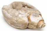 Chalcedony Replaced Gastropod With Sparkly Quartz - India #225562-1